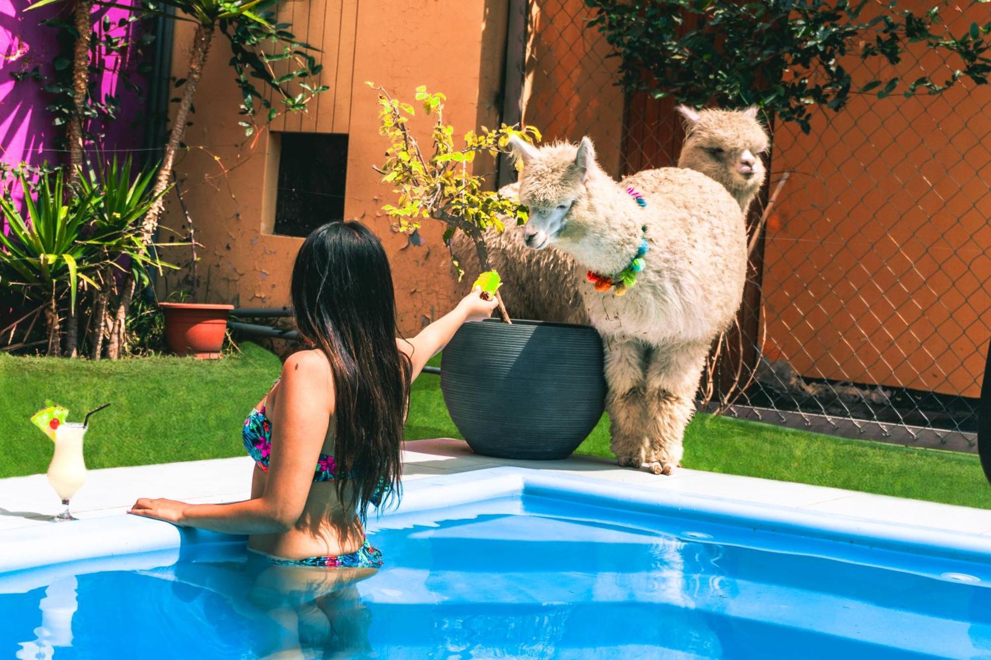 Hotels Collect Adriana Monet Arequipa Exterior photo